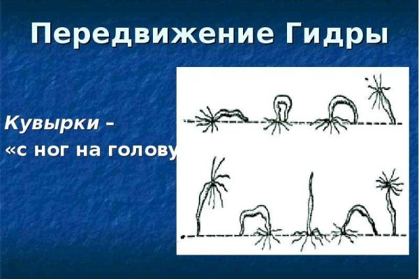 Кракен ссылка kraken