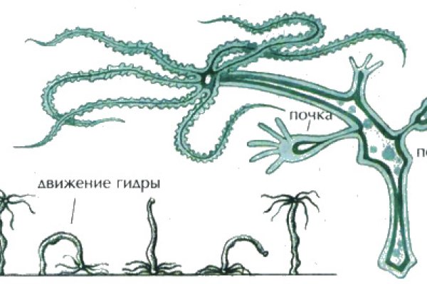 Какая ссылка у кракена