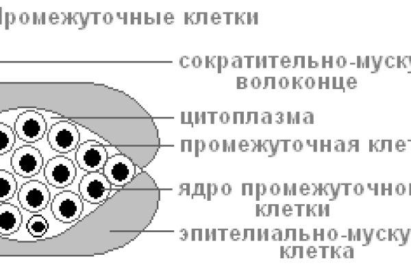 Как пополнить кошелек кракена
