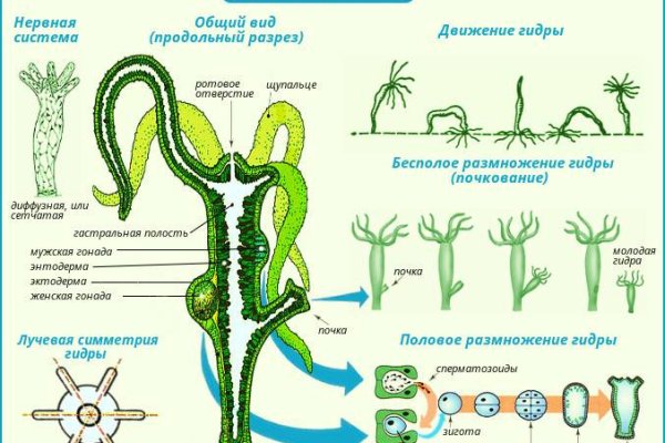 Kraken адрес onion