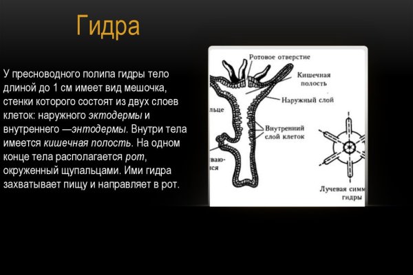 Кракен даркнет ссылка на сайт