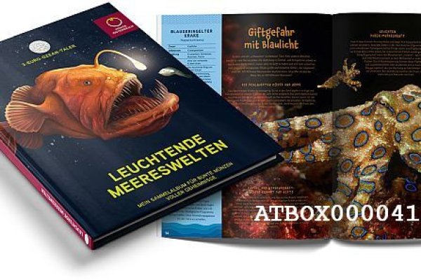 Как восстановить доступ к аккаунту кракен