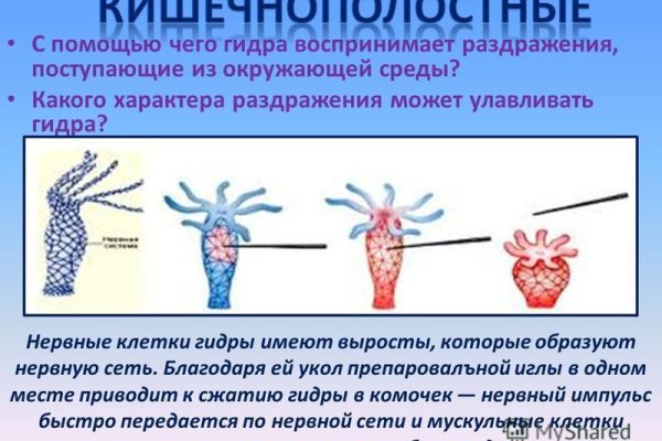 Кракен настоящий сайт