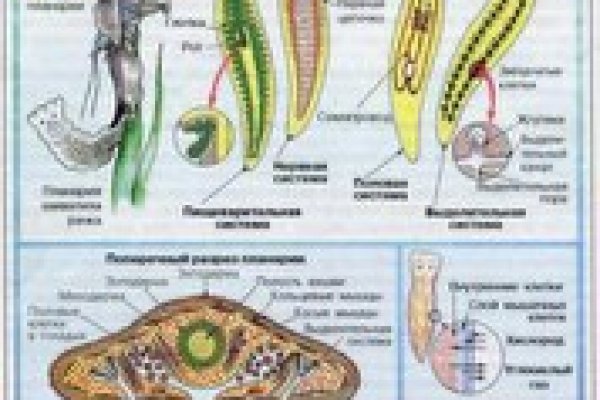 Официальный сайт кракен kraken