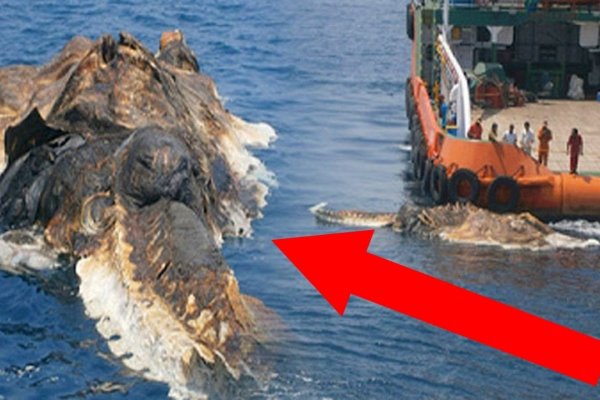 Kraken ссылка на сайт тор